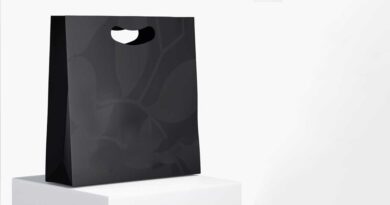 Paper Bag Custom