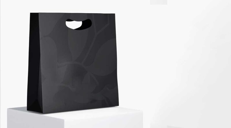 Paper Bag Custom